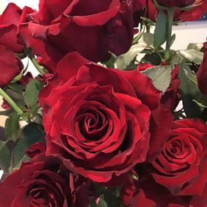 Meet your Posher, Joyce